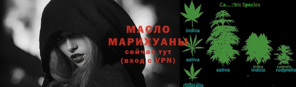 сатива Арсеньев
