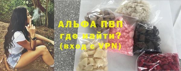 сатива Арсеньев
