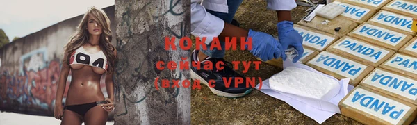 молекула духа Армянск
