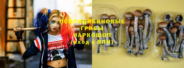 сатива Арсеньев
