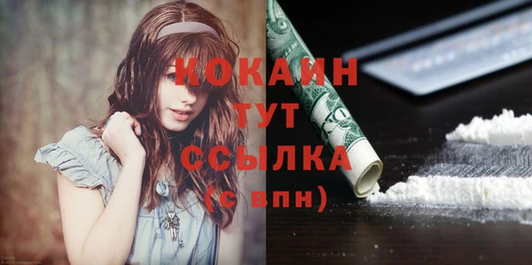 сатива Арсеньев