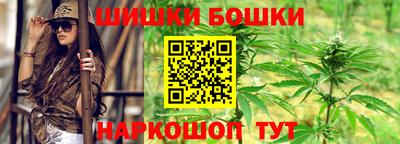 гашик Жуковский