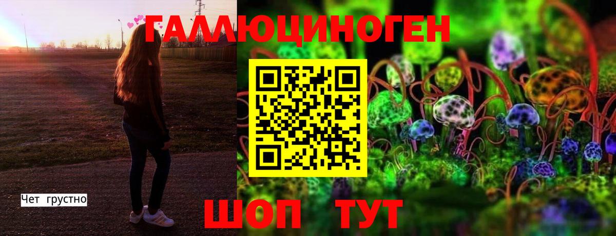 Псилоцибиновые грибы прущие грибы  Вход с VPN  Галлюциногенные грибы Psilocybe  Чайковский 