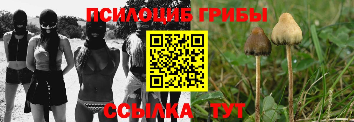 Галлюциногенные грибы прущие грибы Чайковский