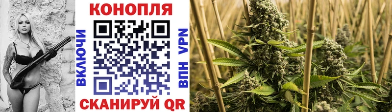 blacksprut tor  Чайковский  МАРИХУАНА Bruce Banner 